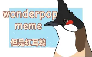 【鸟类meme动画/红耳鹎】wonderpop meme