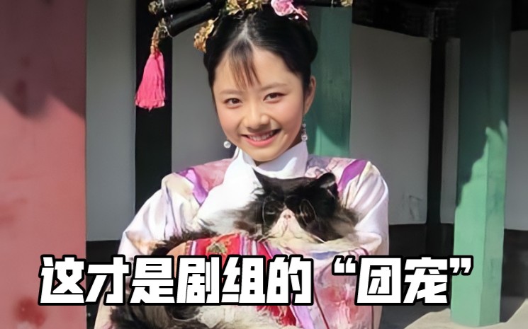 [图]来看看十多年前的甄嬛传剧组是怎么拍摄猫咪戏份的