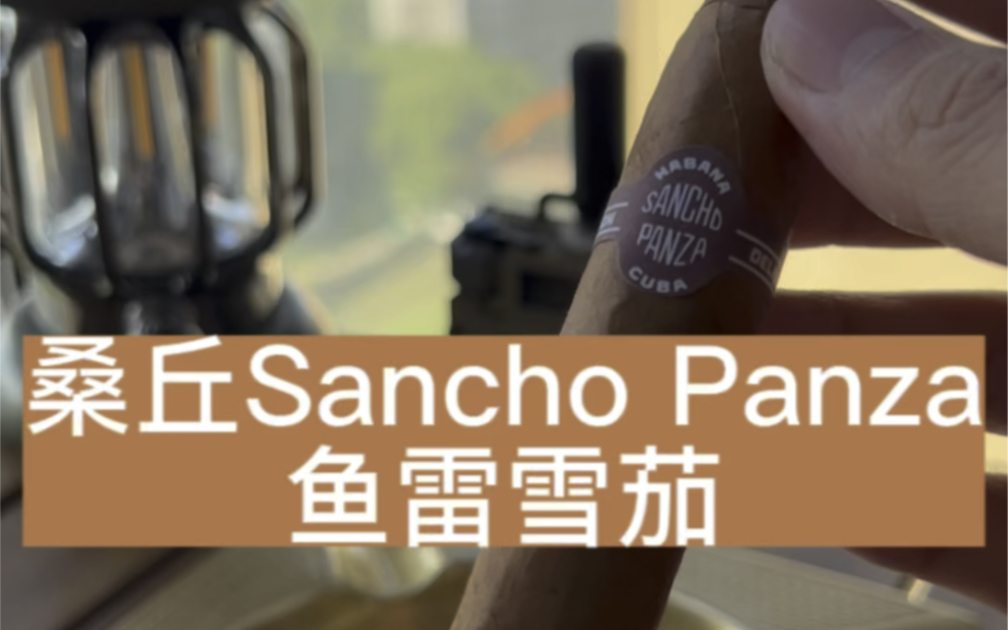 桑丘鱼雷雪茄测评,古巴雪茄Sancho Panza哔哩哔哩bilibili