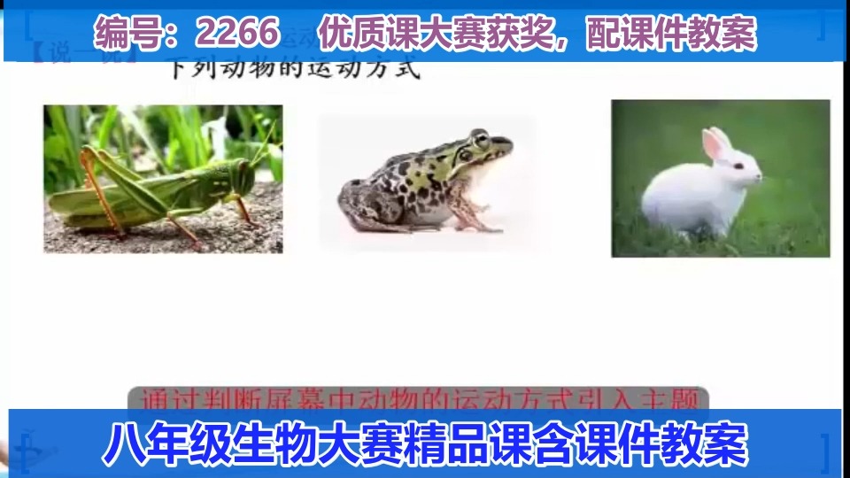 第五单元 生物圈中的其他生物 第一节 动物的运动第一课时陈老师一等奖哔哩哔哩bilibili