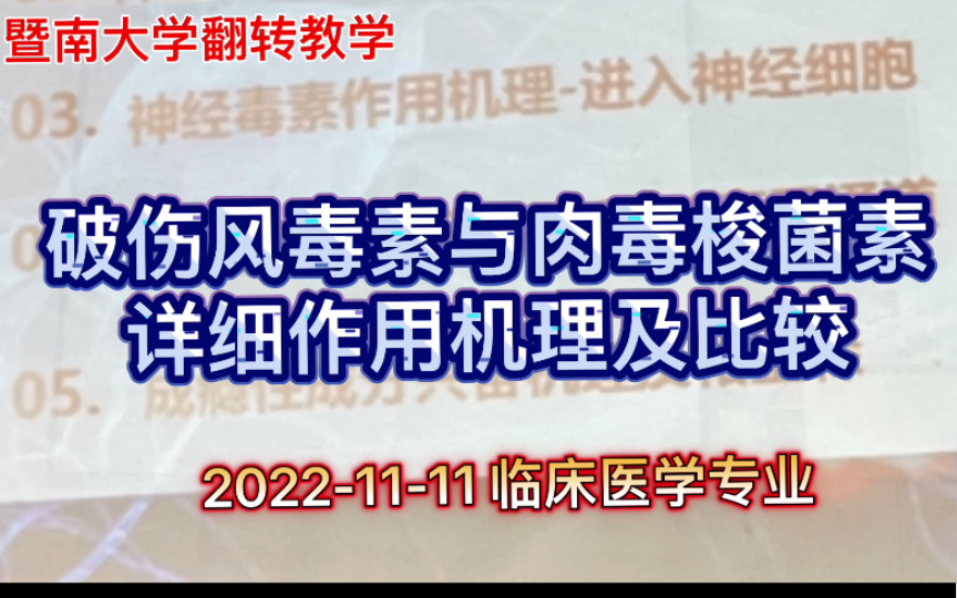 破伤风毒素与肉毒梭菌素详细作用机理及比较哔哩哔哩bilibili