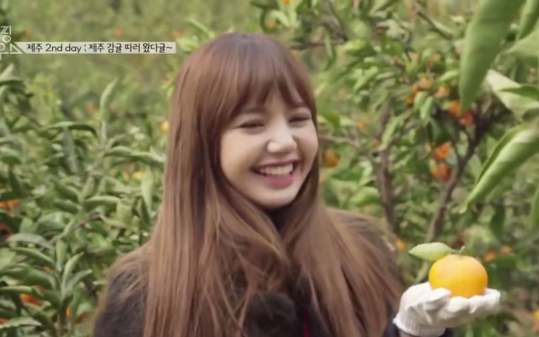 lalisalisa辣梨的可爱沙雕小合集每晚看一遍防止抑郁blackpinklisa