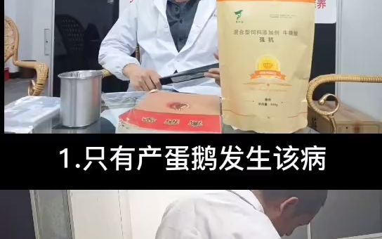 禽医老葛讲种鹅蛋子瘟怎么根除?哔哩哔哩bilibili