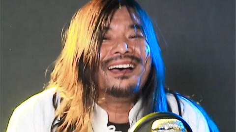 面筋味的野狼disco野狼迪斯科被我唱成了野猪迪斯科