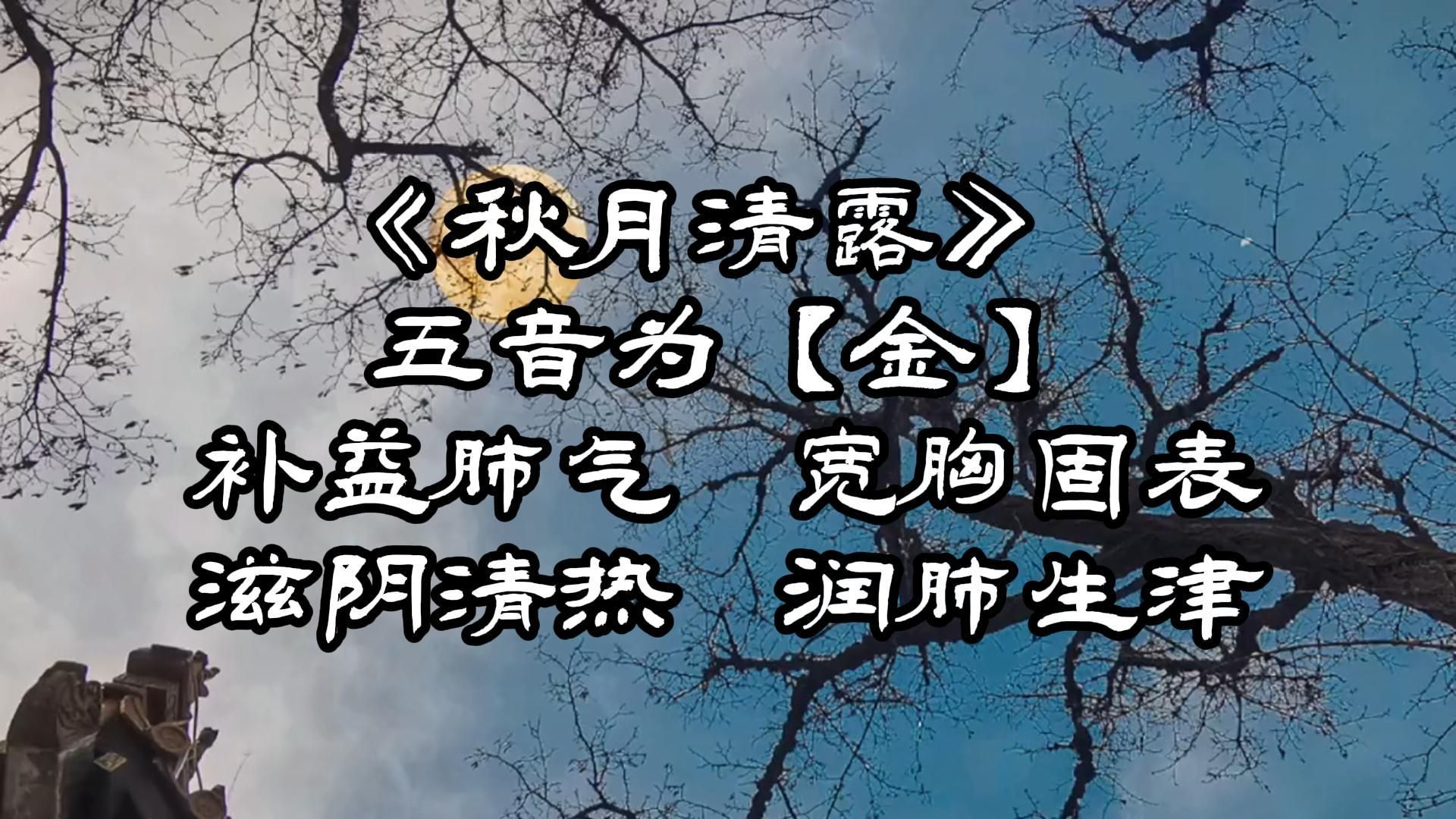 【五行音乐金】《秋月清露》补益肺气 、宽胸固表、滋阴清热、润肺生津.在音为商,在志为忧.调试为阴.自习纯音乐治愈性,集中注意力,考研备战考...