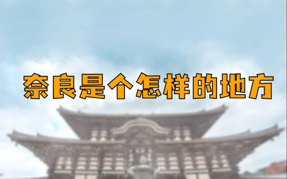 有关奈良和大和西大寺的故事哔哩哔哩bilibili