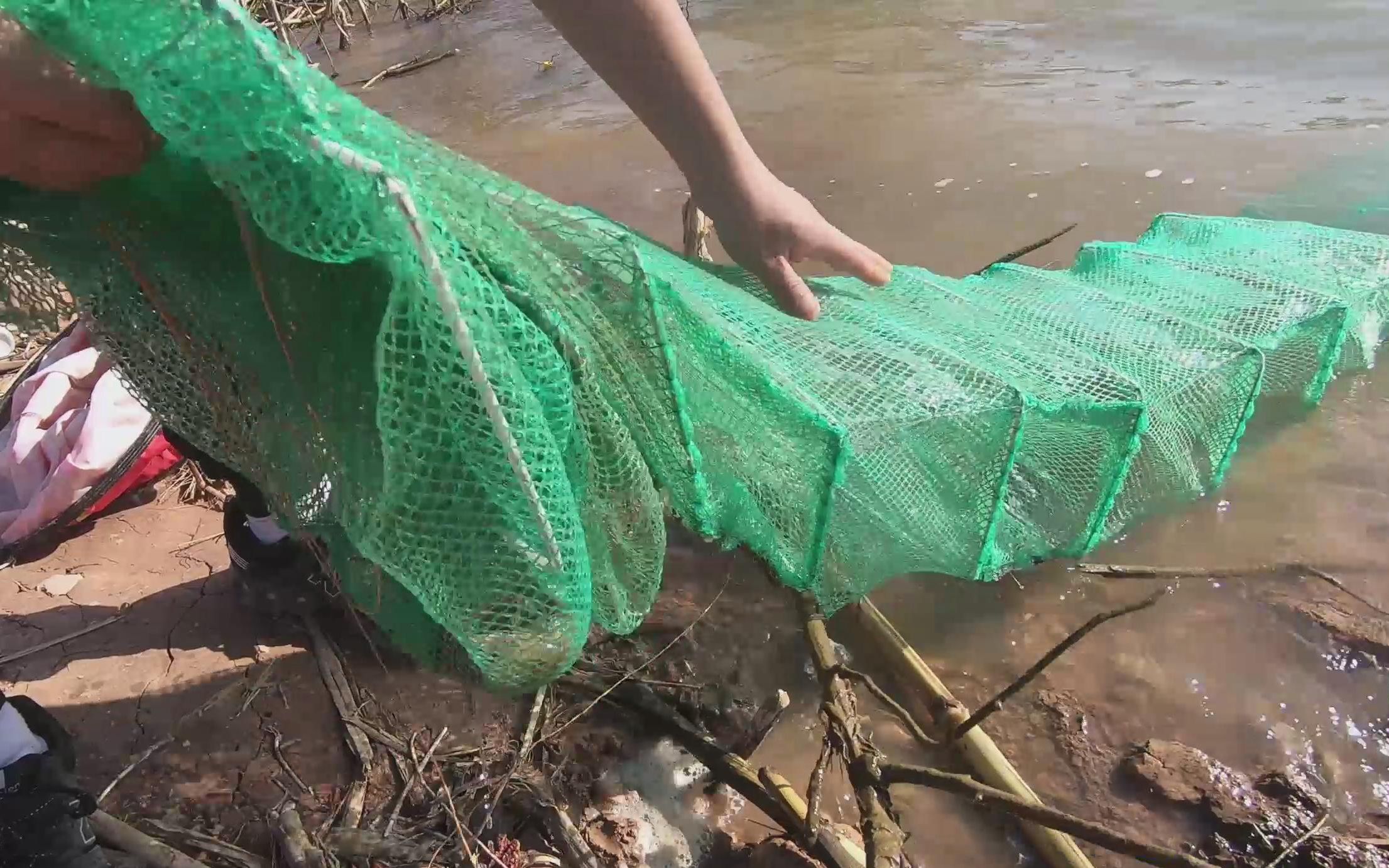 农村小伙在水库里放地笼,第二天早晨去收地笼,收获满满!