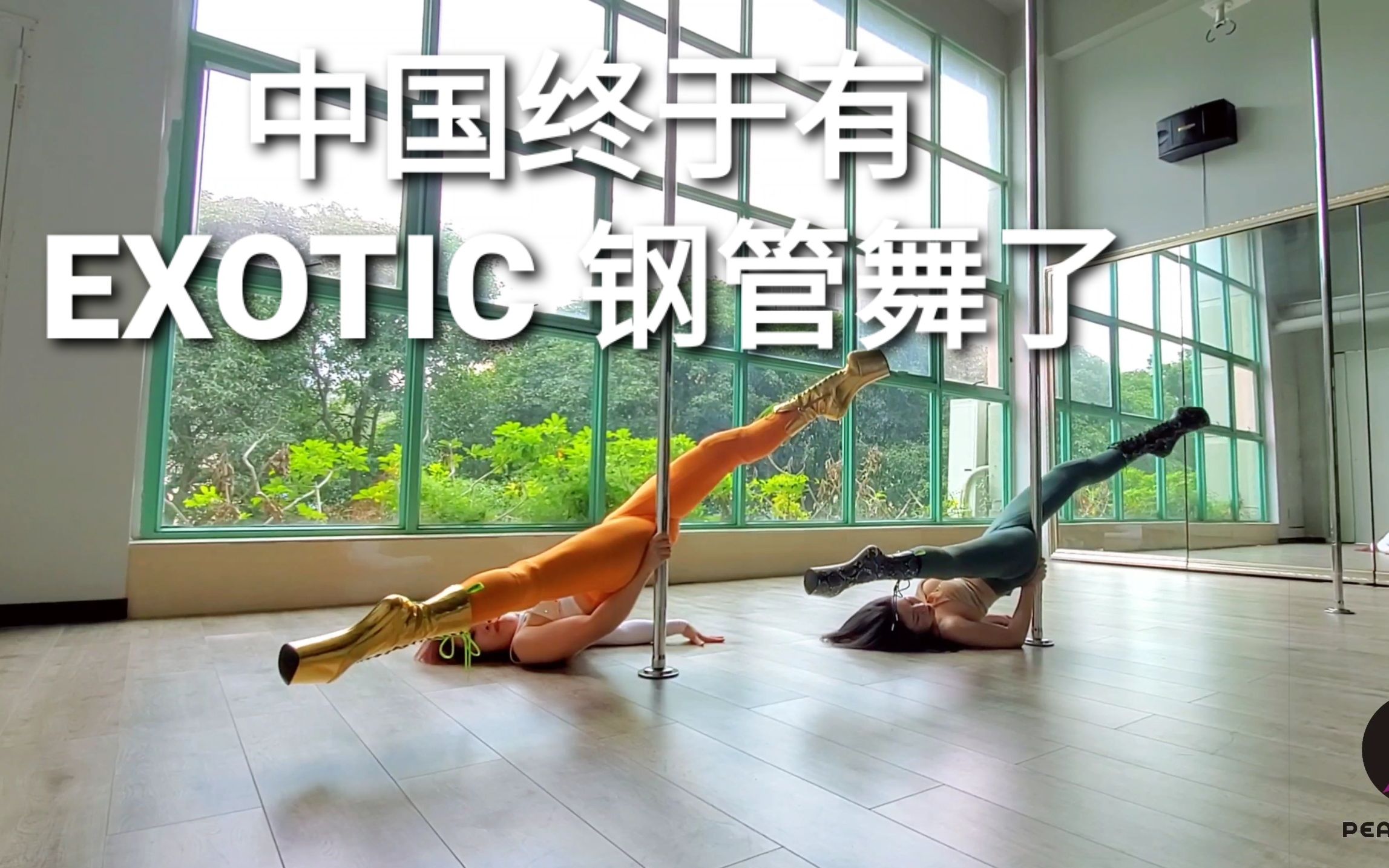 (桃秘)BADA原创Exotic Pole Dance钢管舞哔哩哔哩bilibili