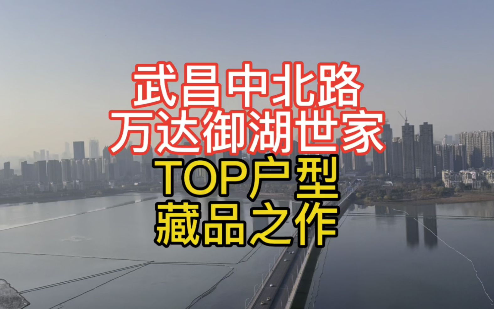 武昌中北路 万达御湖世家TOP户型 藏品之作哔哩哔哩bilibili