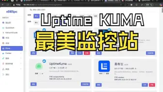 新插件：很好看的监控站，给我们的几十个网站进行监控