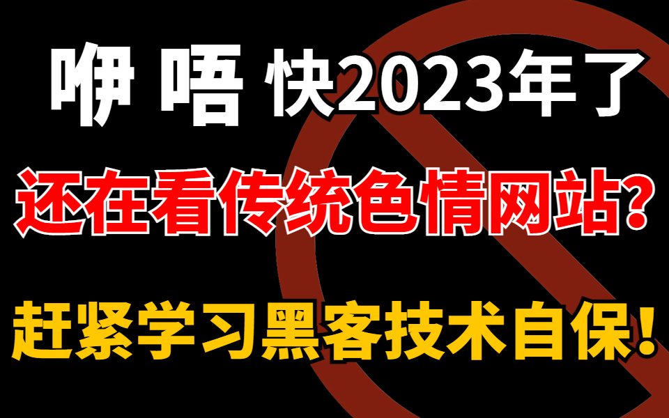 色情网站为什么很多免费?真的有人为爱发电?个人信息已经泄露,赶紧学习黑客技术自保!(网络安全/渗透测试/黑客攻防)哔哩哔哩bilibili