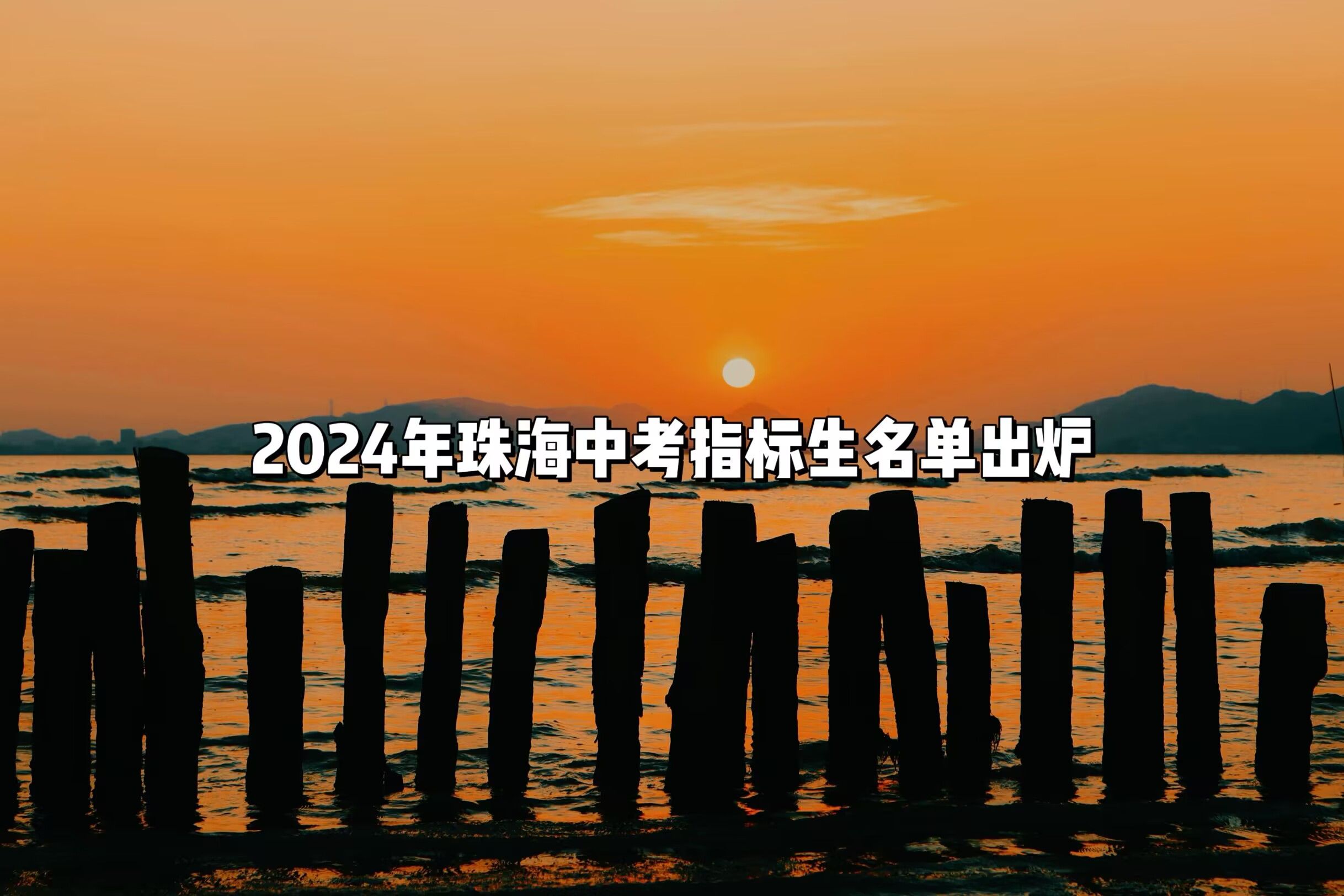 2024珠海中考指标生名单出炉哔哩哔哩bilibili