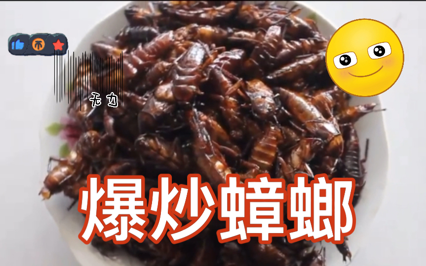 广东油炸蟑螂图片
