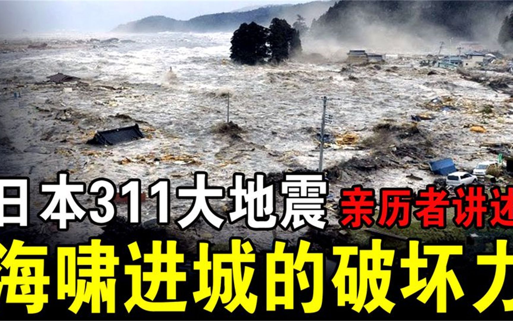 日本311大地震,海嘯湧進城市後的破壞力有多大?親歷者講述實情