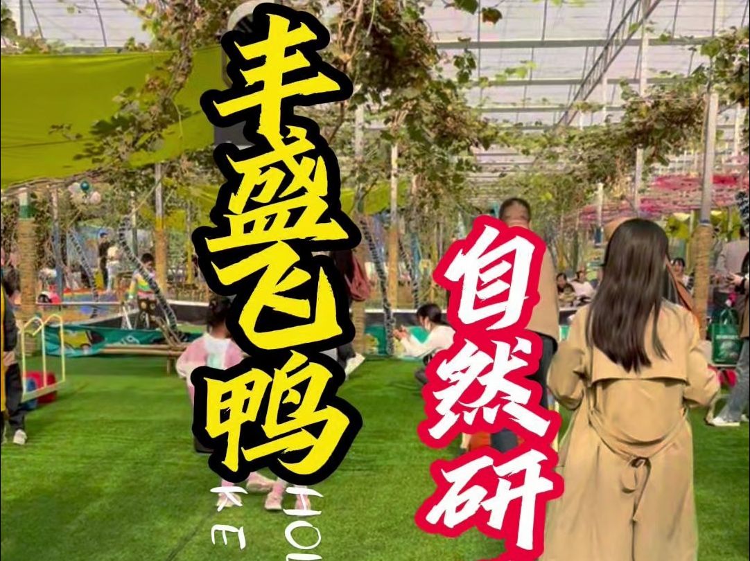 深圳亲子游玩推荐南山飞鸭自然研学基地哔哩哔哩bilibili