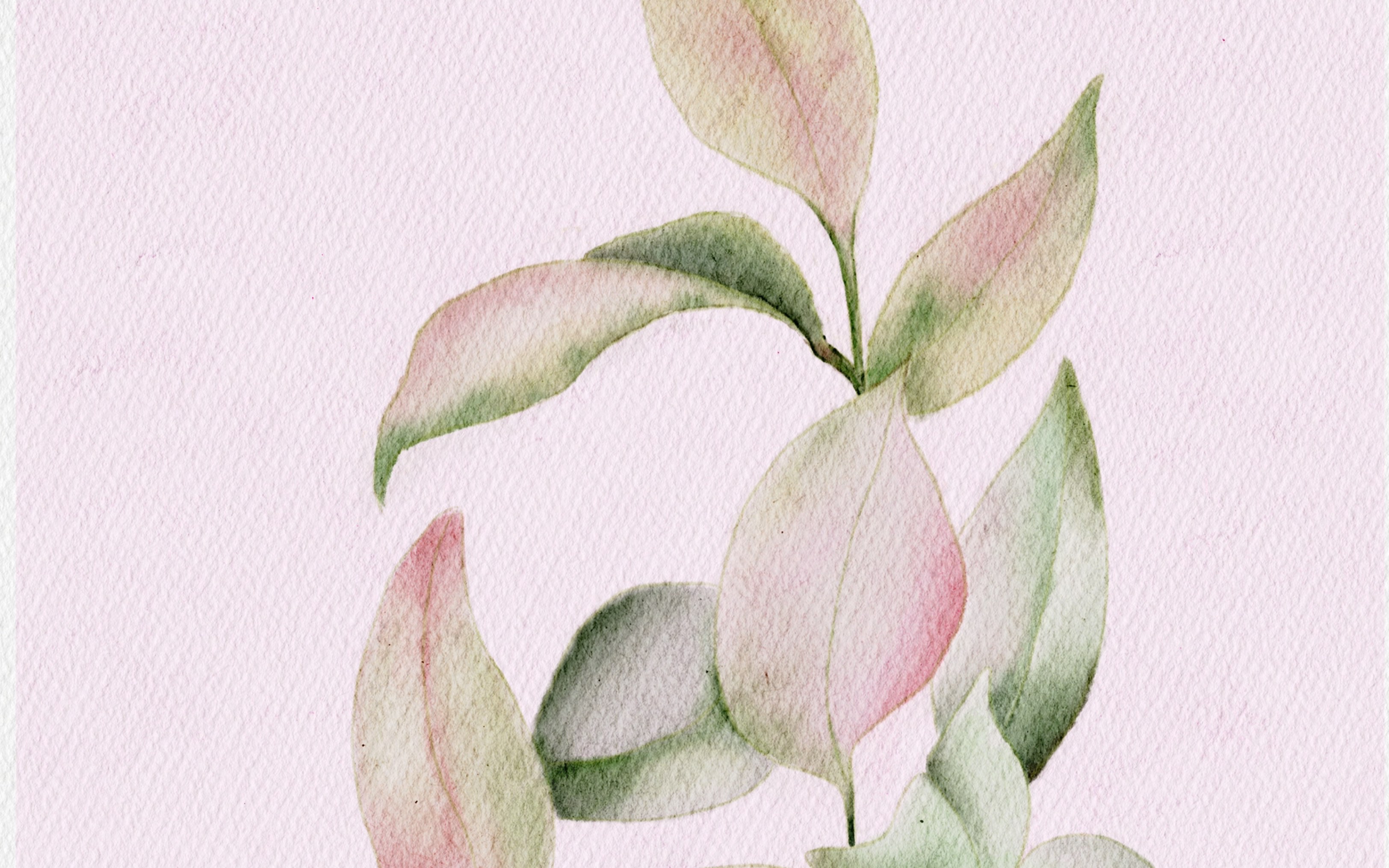 procreate水彩绘画练习/06