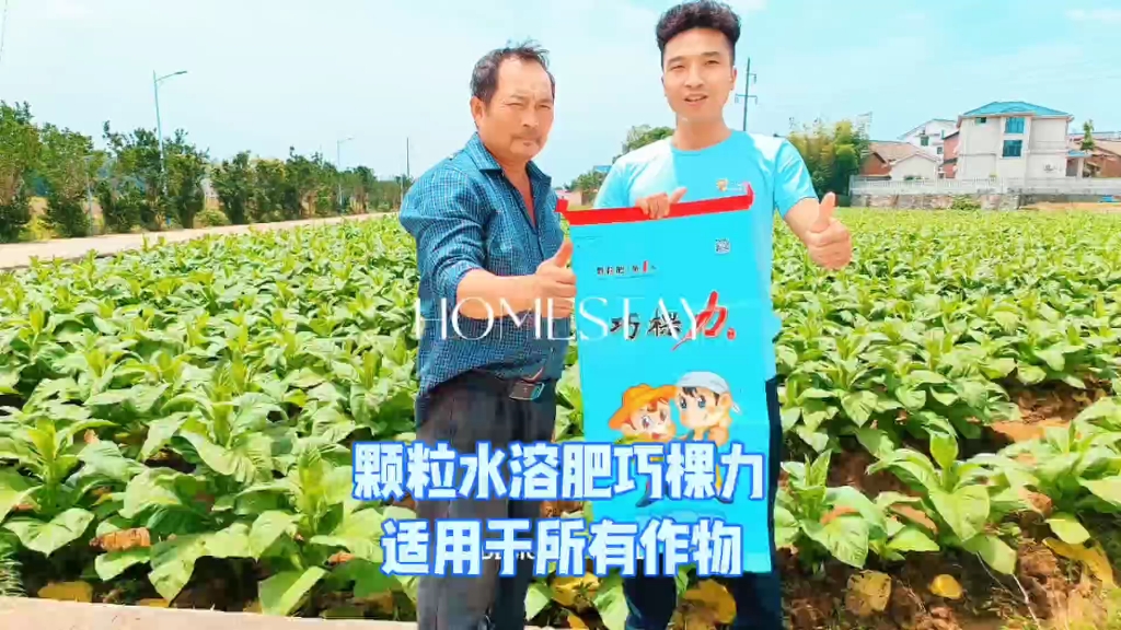 颗粒水溶肥巧棵力适应各种作物