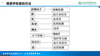 Télécharger la video: 重症肺炎