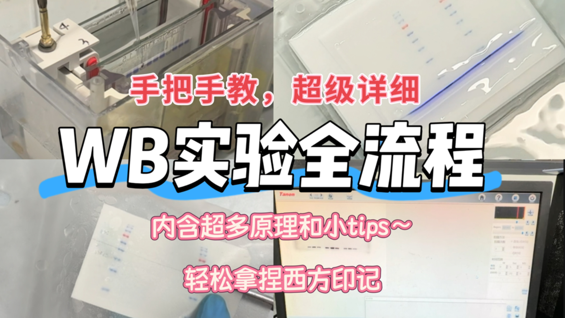 Western blot ultra-detailed protocol 12-minute video version