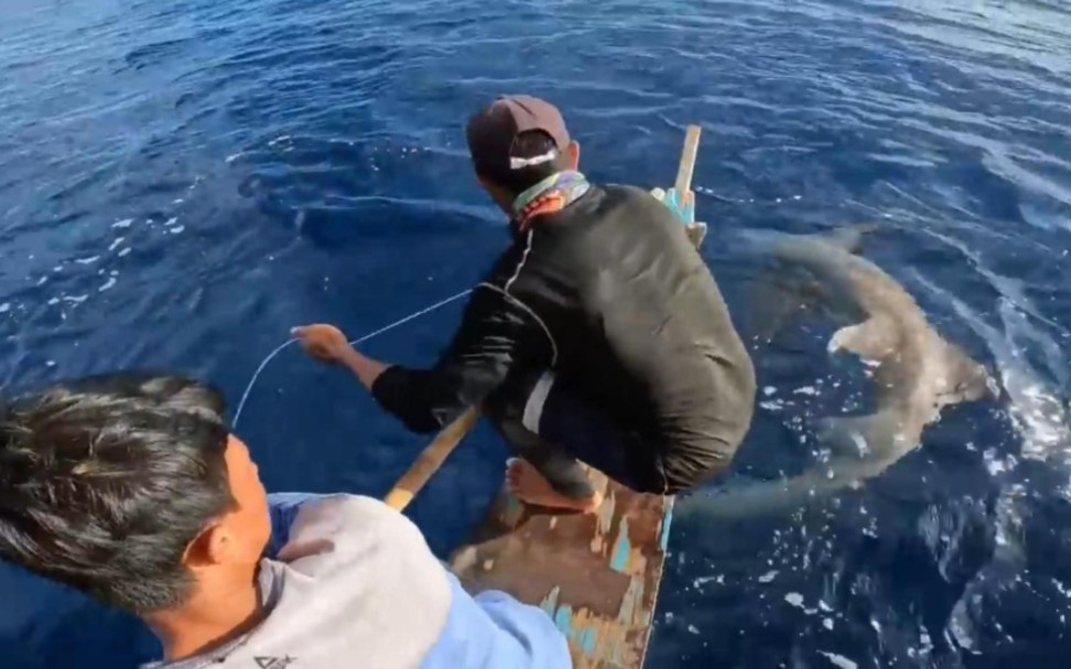 深海捕鱼:渔民用线组钓到巨型鲨鱼,如果是你该怎么办?