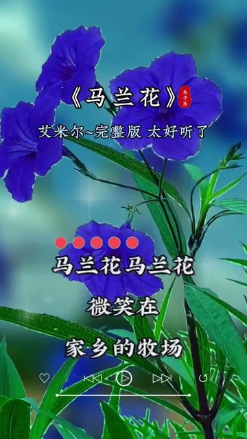 馬蘭花#聆聽天籟之音##熱門音樂97百聽不厭#好歌分享