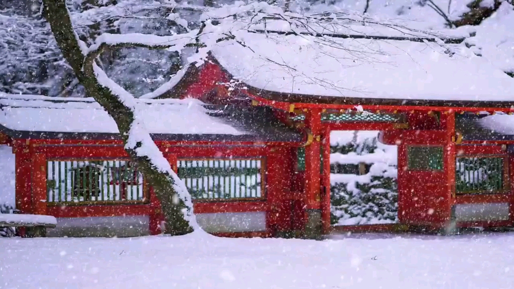 [图]“山中雪后”