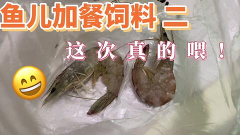 搜索 哔哩哔哩 つロ干杯 Bilibili