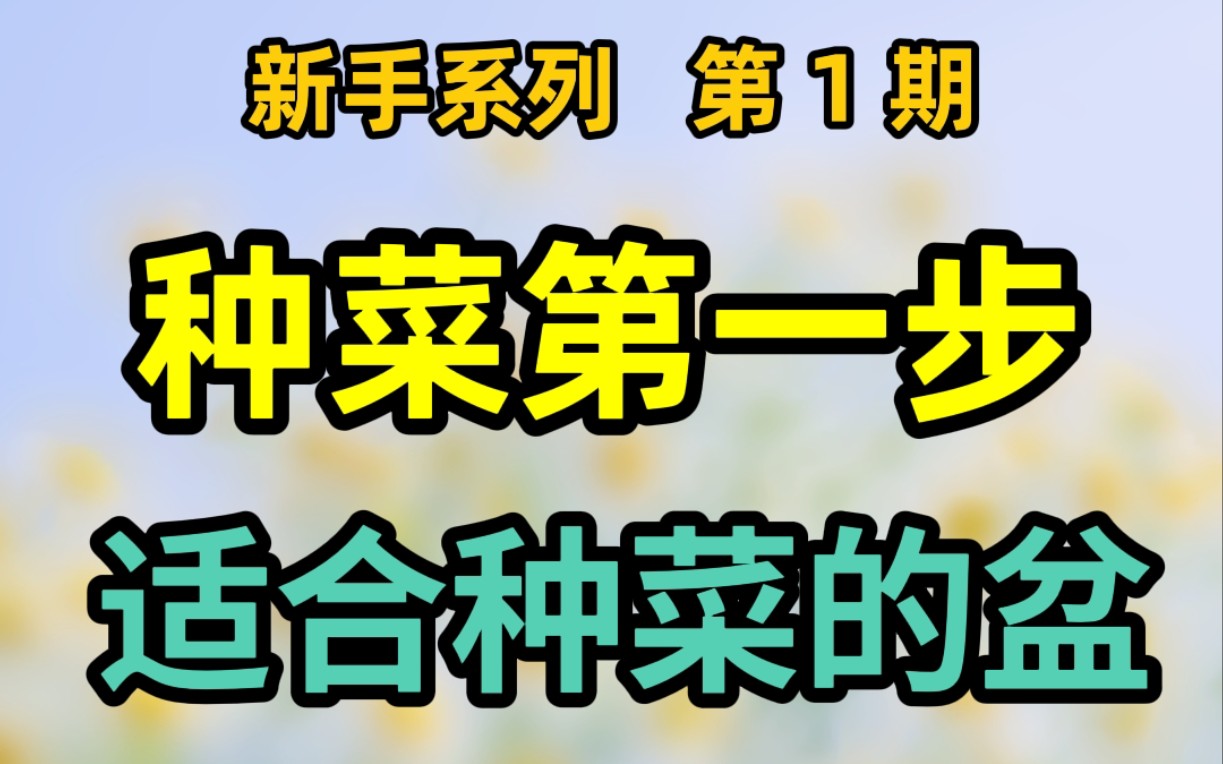 阳台种菜:选盆是第一步哔哩哔哩bilibili