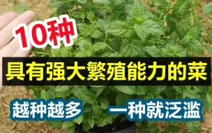 Descargar video: 10种具有强大繁殖能力的菜, 越种越多, 一种就泛滥