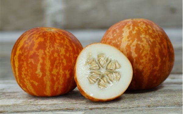 虎皮甜瓜——原产于底格里斯河流域的甜瓜,具有浓郁芳香,高甜度.