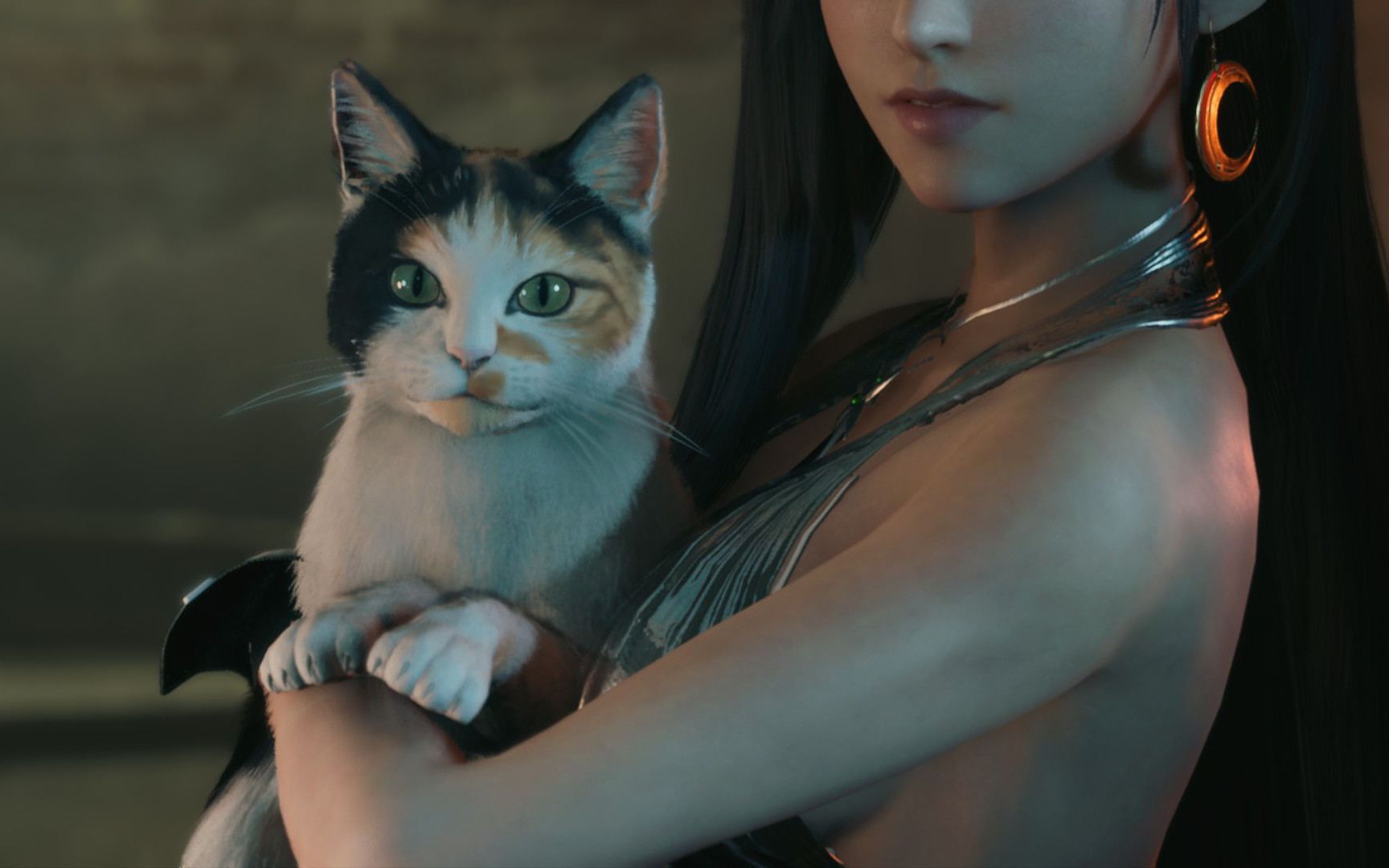 蒂法教你正确的抱猫手法