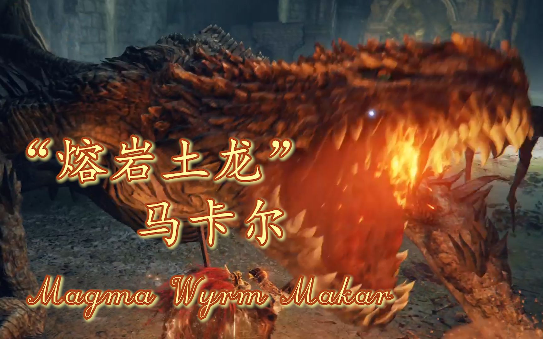 艾尔登法环sungo熔岩土龙马卡尔magmawyrmmakar