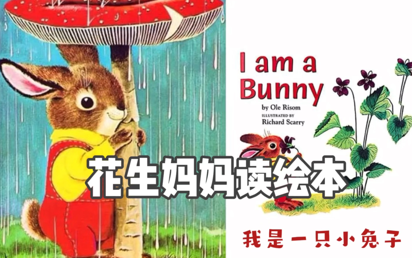 [图]英文绘本 | I am a Bunny | 我是一只小兔子