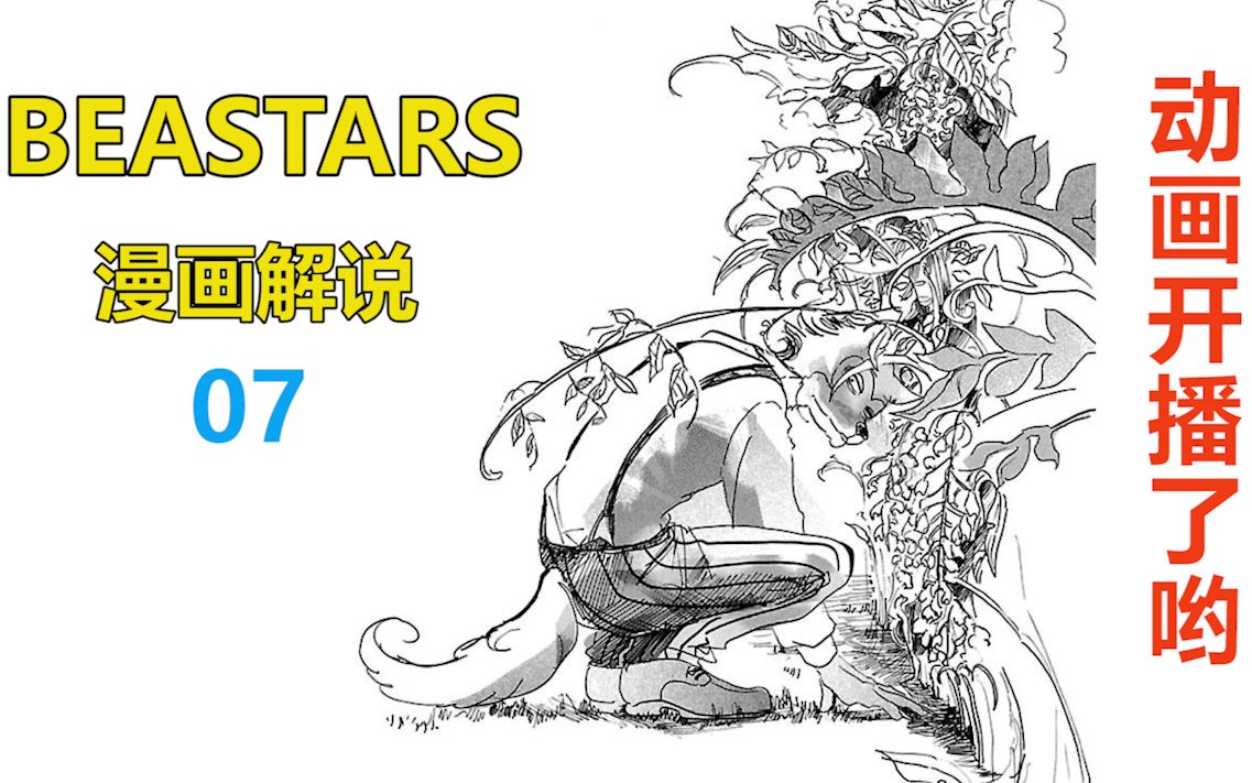 【BEASTARS 漫画解说 07】禁猎区等级100哔哩哔哩bilibili