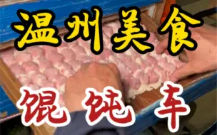 Download Video: 温州街头可遇不可求的馄饨车小摊～开了三十多年～生烫肉是灵魂～