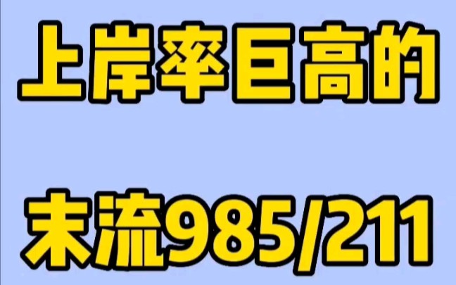 比较好上岸的985/211学校和专业 #24考研 #考研择校择专业哔哩哔哩bilibili