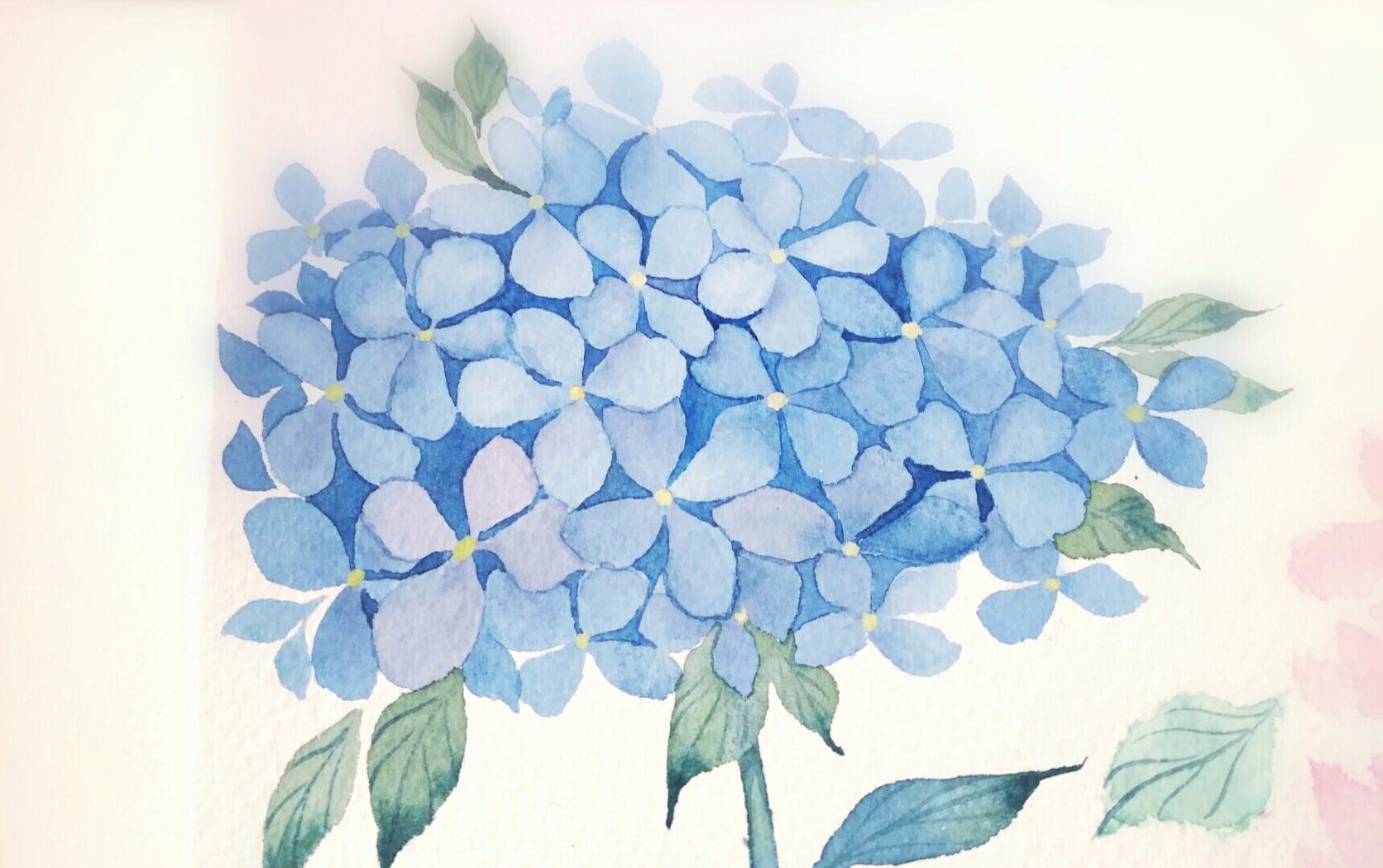超级简单绣球花