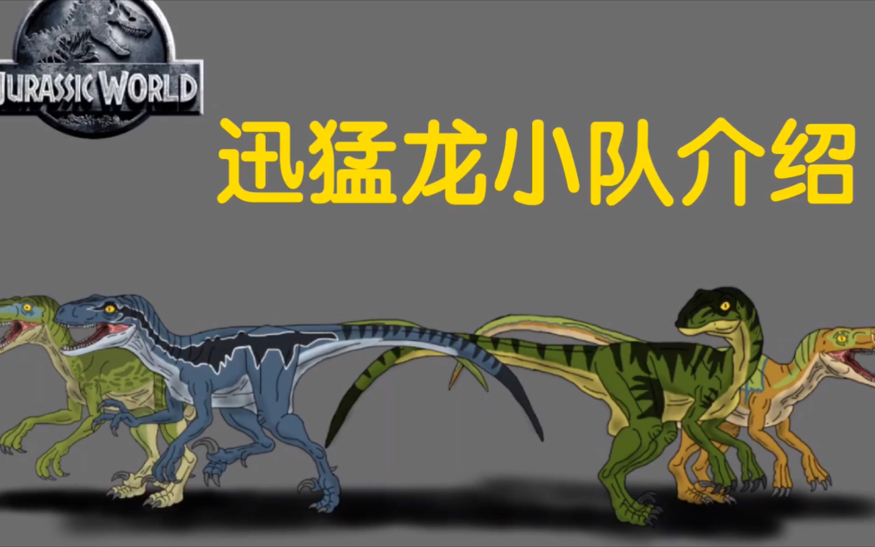 侏罗纪世界介绍图鉴第十八期:迅猛龙小队(粉丝点餐)
