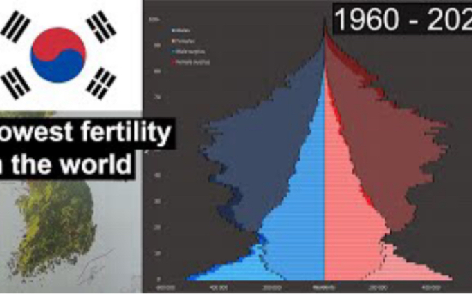 [ExFailures]韩国人口金字塔动态演化历史及预测(19602070),采用2020年韩国人口普查最新历史数据及官方预测模型数据哔哩哔哩bilibili