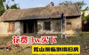 Download Video: 花费3万买下荒废旧房，清理后感叹：太值了！老板出双倍价也不想卖 #旧房改造