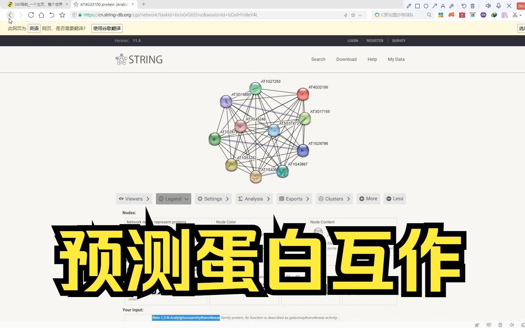 【公益科普教程】预测蛋白质互作关系(String网站版)哔哩哔哩bilibili