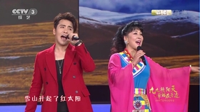 宗庸卓玛 梅里雪山的女儿 Ktv版 标清mv 哔哩哔哩 つロ干杯 Bilibili