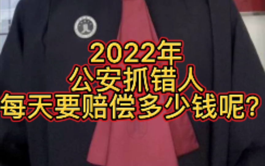 2022年公安抓错人每天要赔偿多少钱呢?哔哩哔哩bilibili