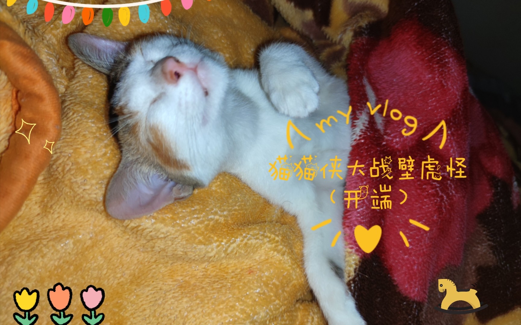 猫猫侠大战壁虎怪(开端)哔哩哔哩bilibili