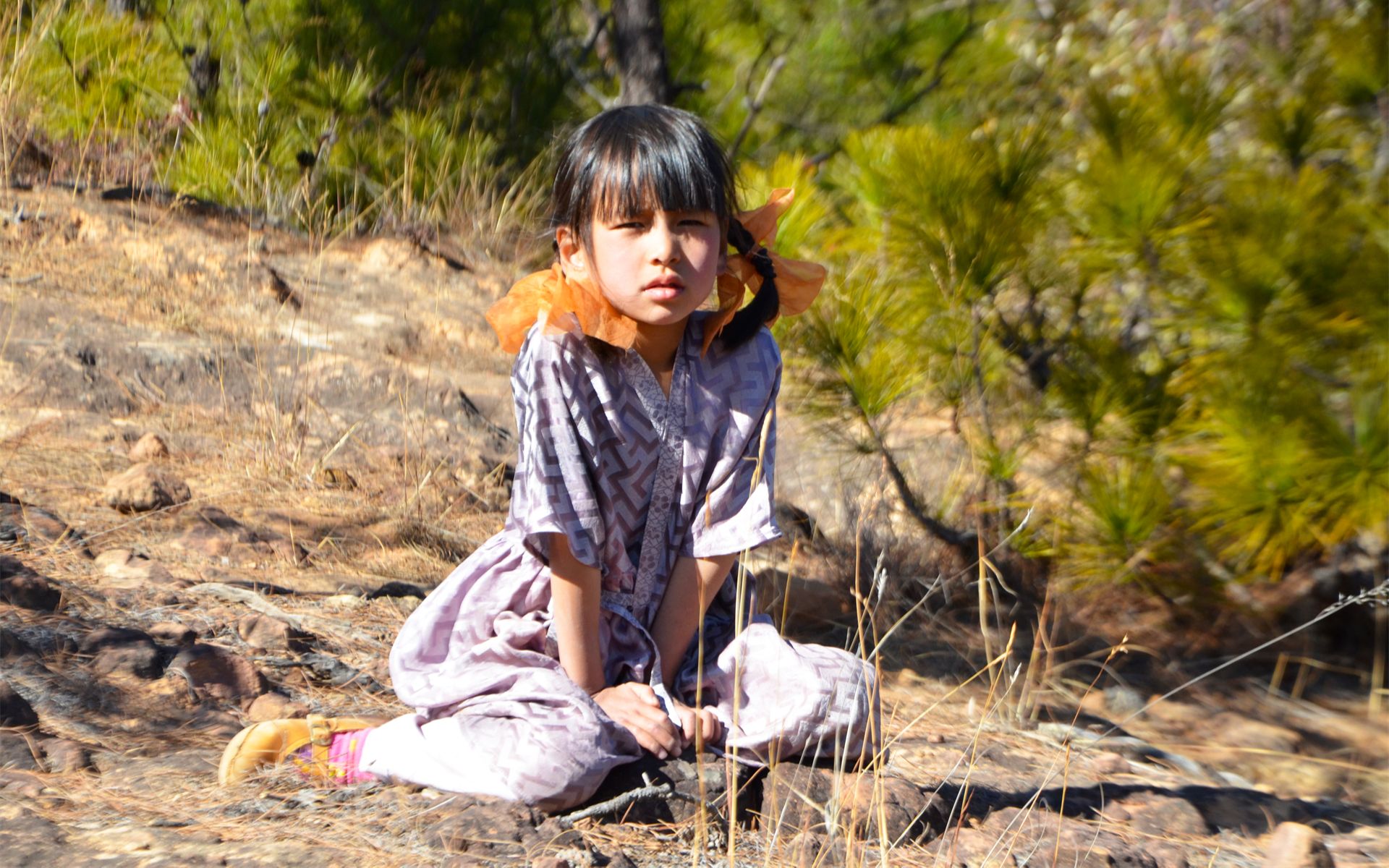 [图]【梅花染】等梅花开满山，染一抹春色