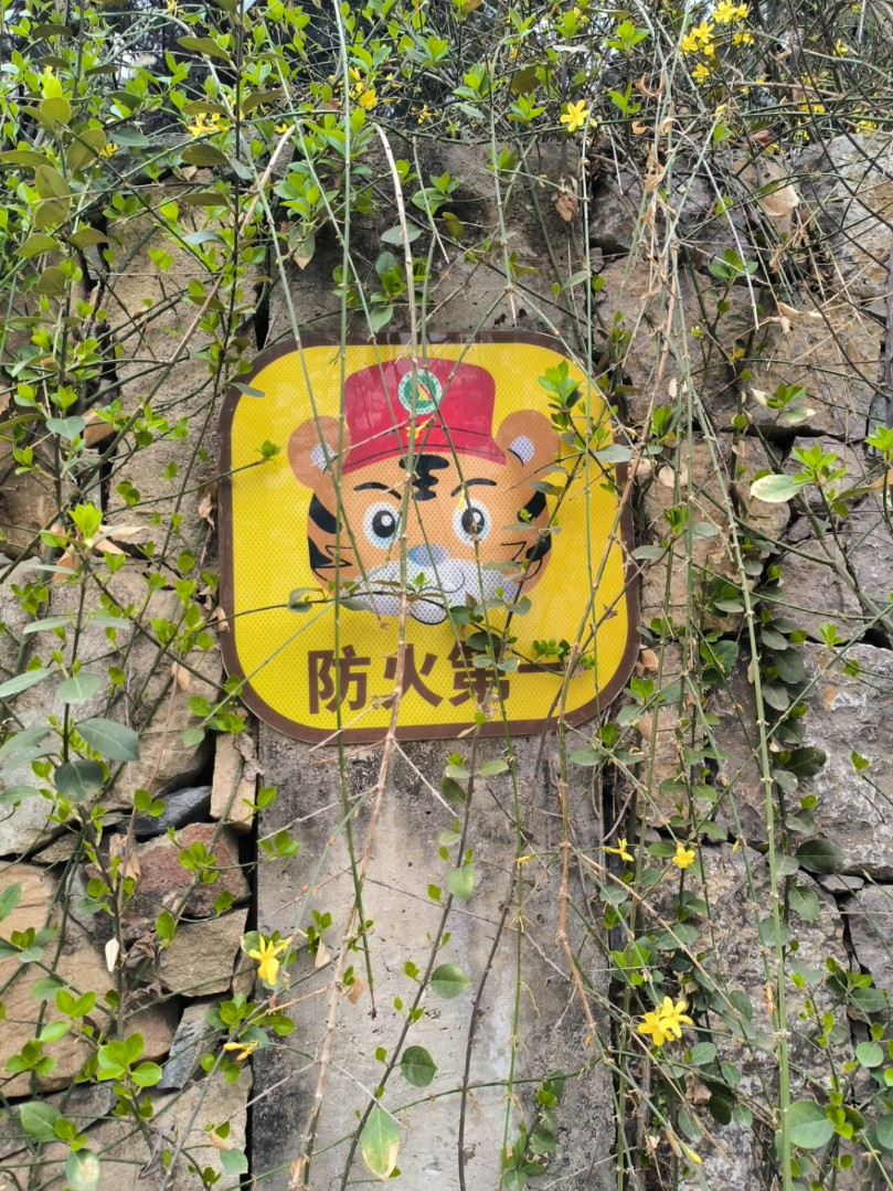 2024愚人节游玩北京【百望山森林公园】