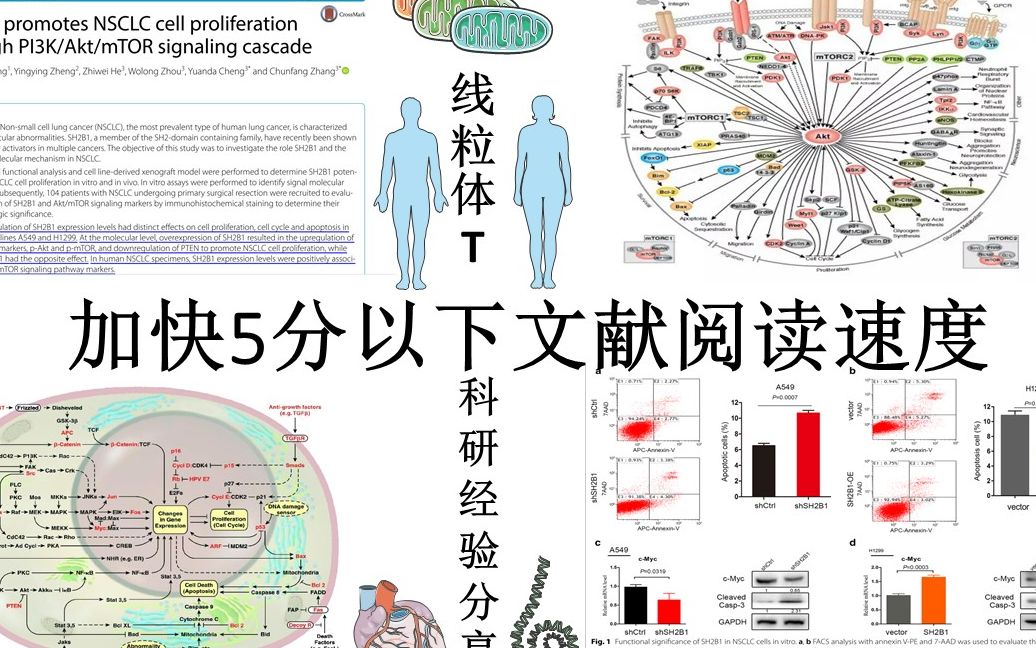 第三章:文献管理和阅读技巧讲解和科学研究中的套路(1)哔哩哔哩bilibili