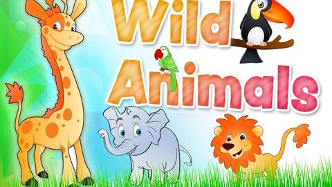 启蒙英语儿童野生动物英语词汇wild Animals English Vocabulary 哔哩哔哩