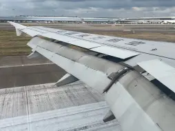 Descargar video: 落地一个大踉跄！中国东方航空 MU5246 XMN-PVG A320-200 台风天上海浦东机场35L跑道重落地