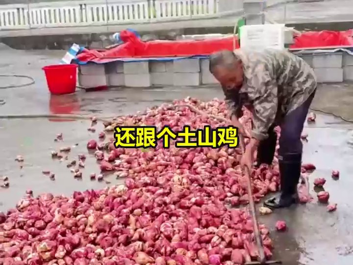 中秋夜全员在场2
